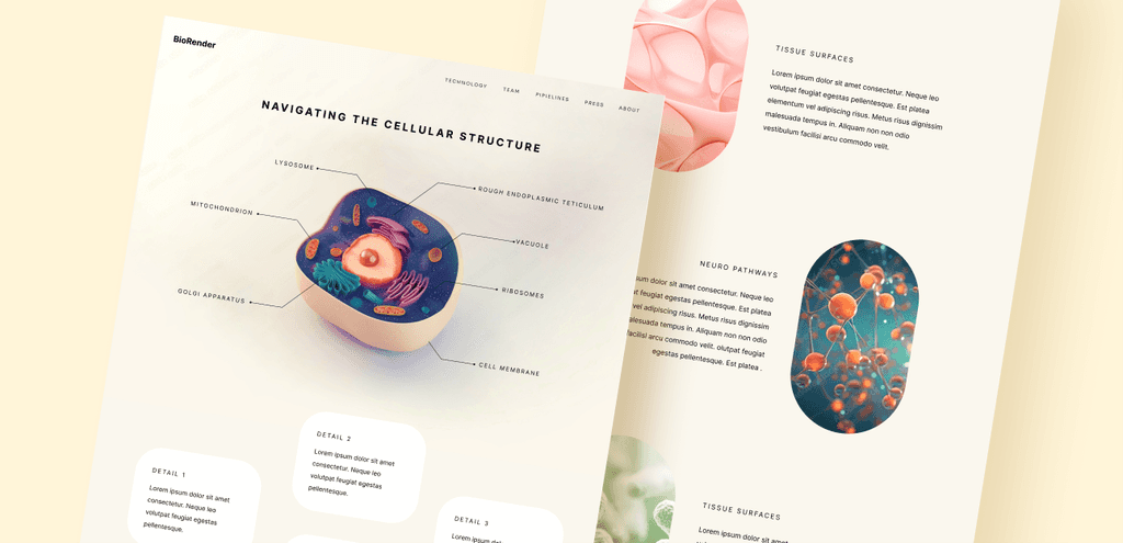 GinTrKtbACsuZfArtxutyDqbjI (1)