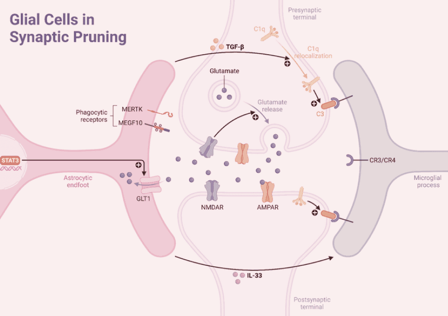 WVy4Ah3PJRsG1PNV6WmjADkkc